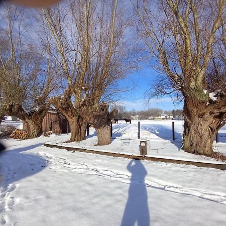 Camping Des Saules Jurbise Exteriör bild