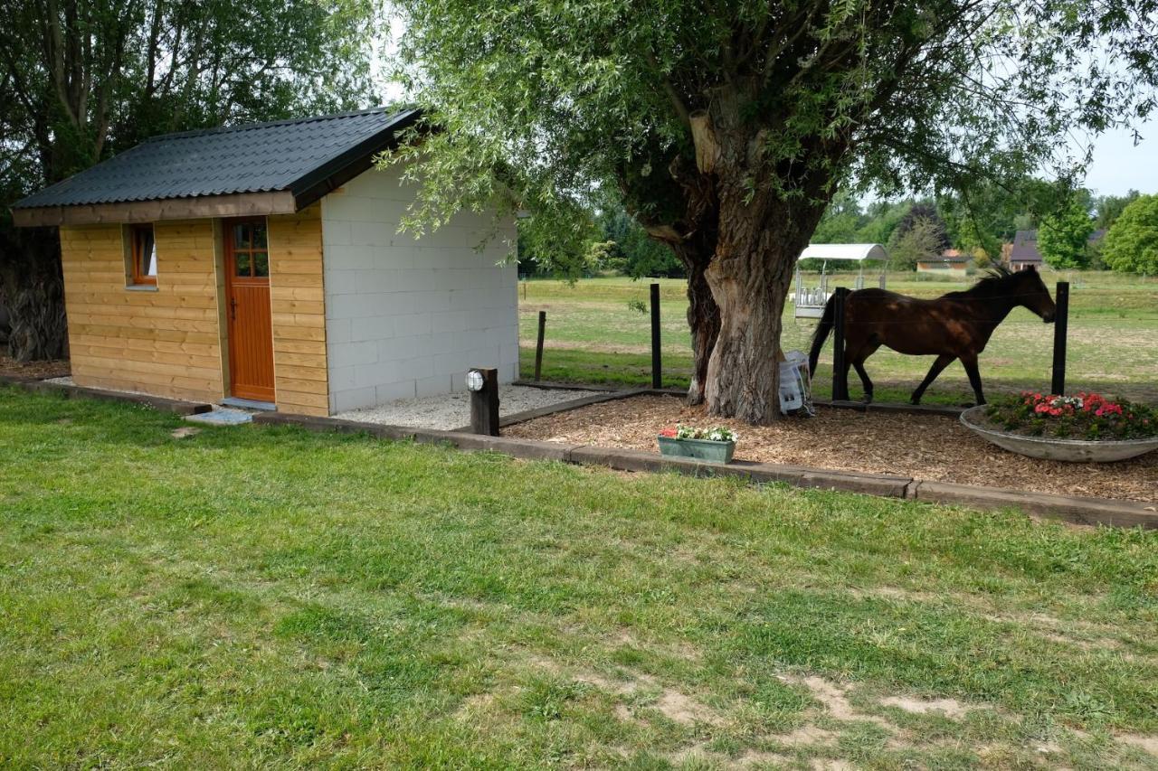 Camping Des Saules Jurbise Exteriör bild
