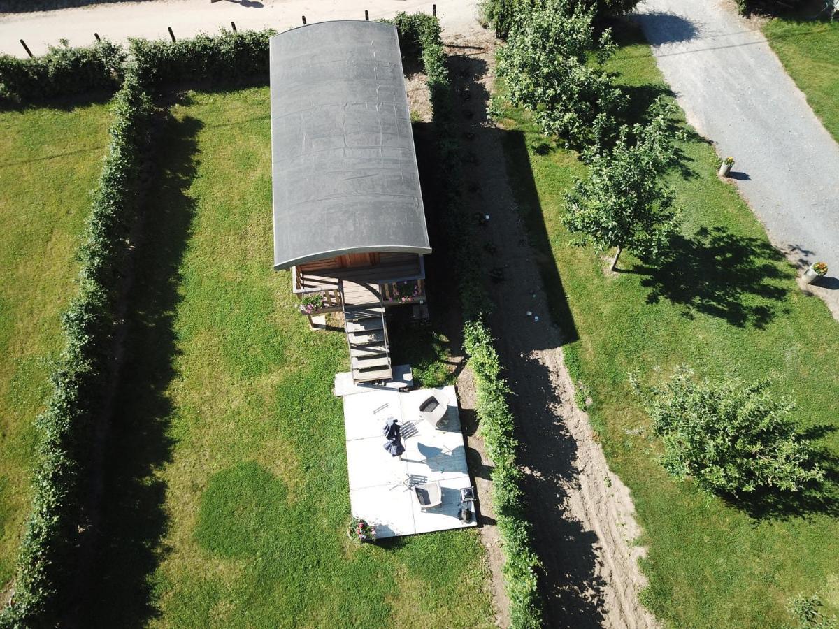 Camping Des Saules Jurbise Exteriör bild