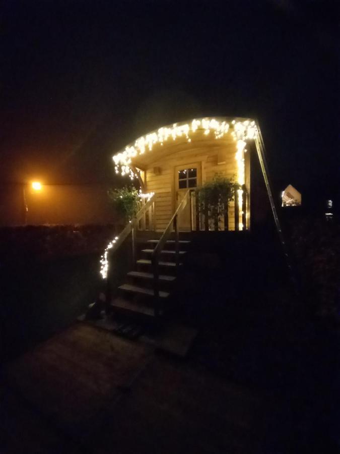 Camping Des Saules Jurbise Exteriör bild
