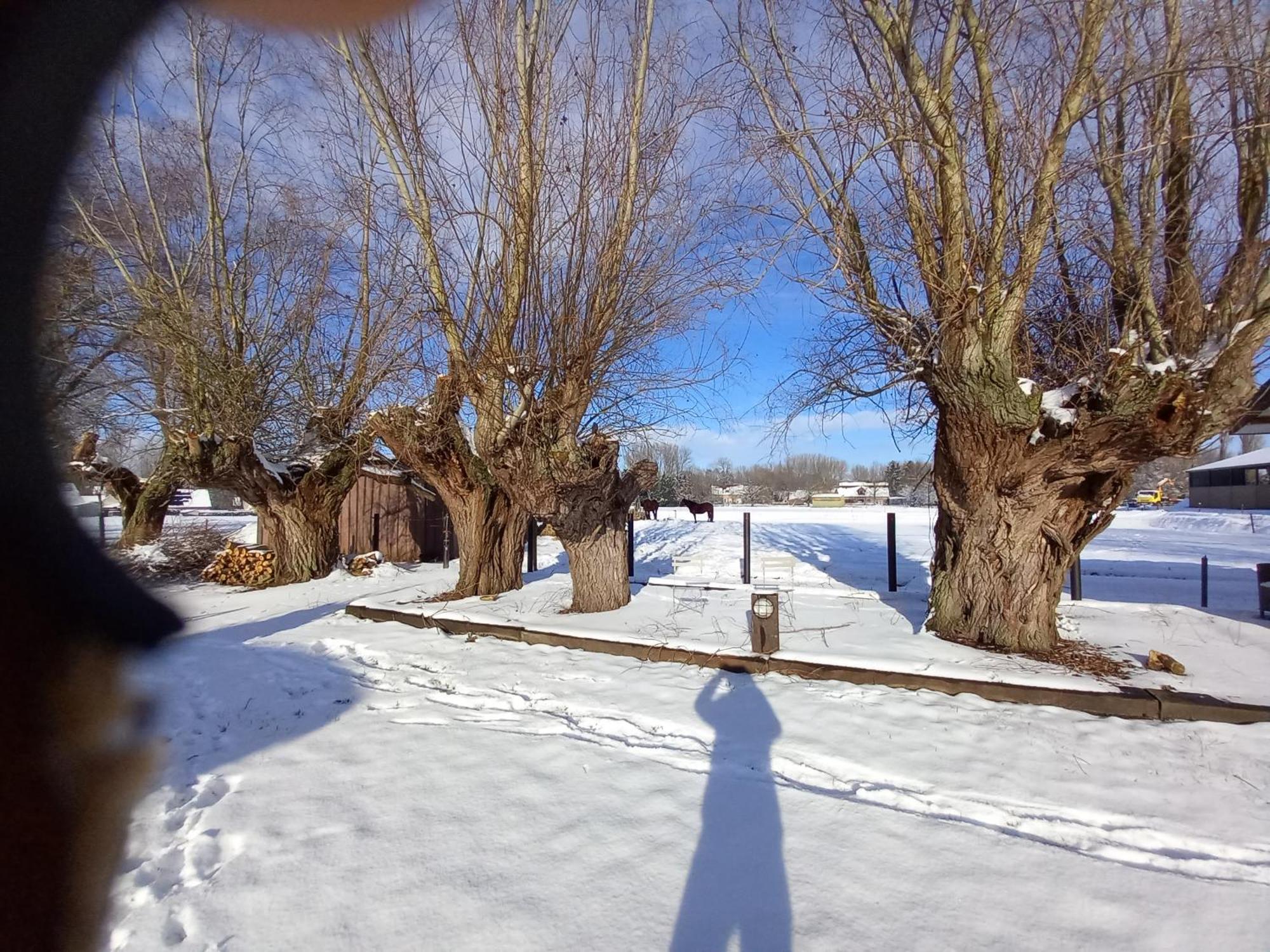 Camping Des Saules Jurbise Exteriör bild