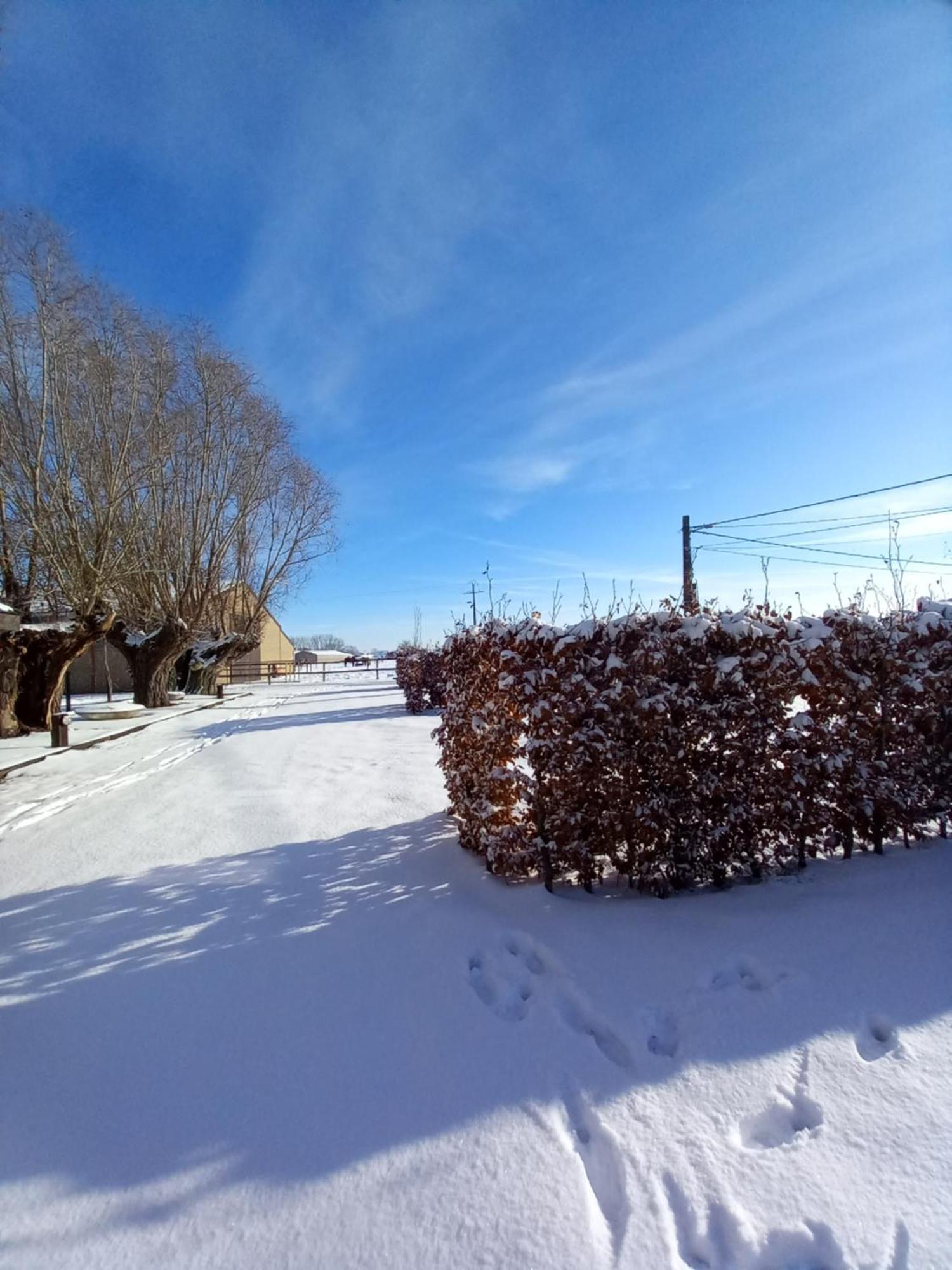 Camping Des Saules Jurbise Exteriör bild