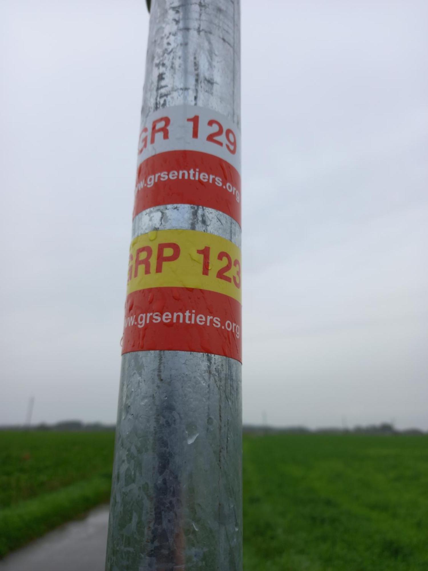 Camping Des Saules Jurbise Exteriör bild